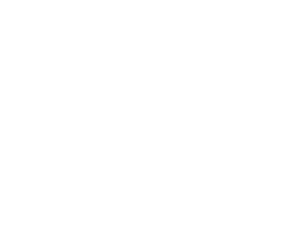Логотип Засинай
